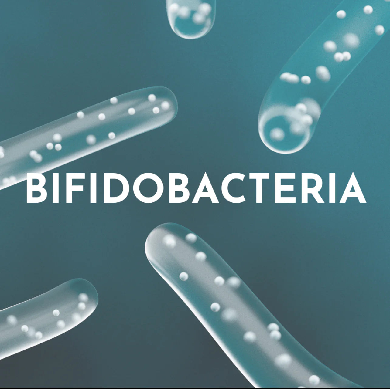 Bifido Probiotic Cultures