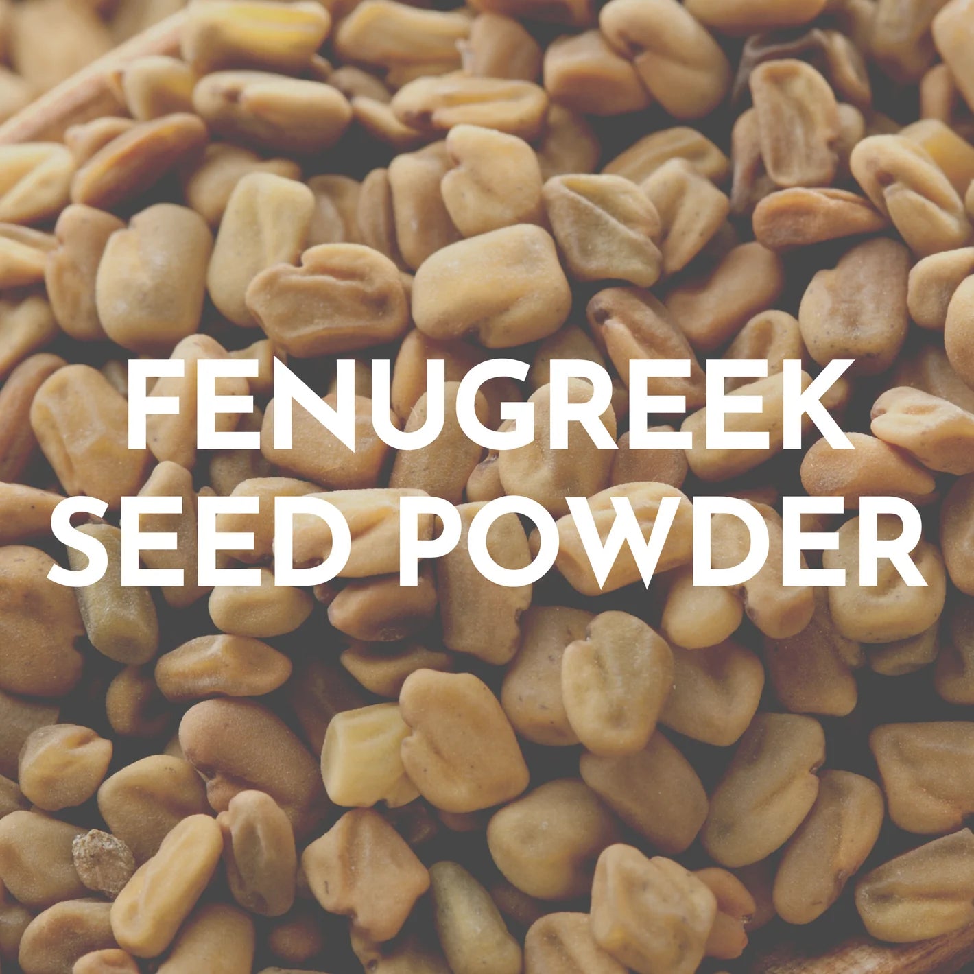 Fenugreek Seed Powder