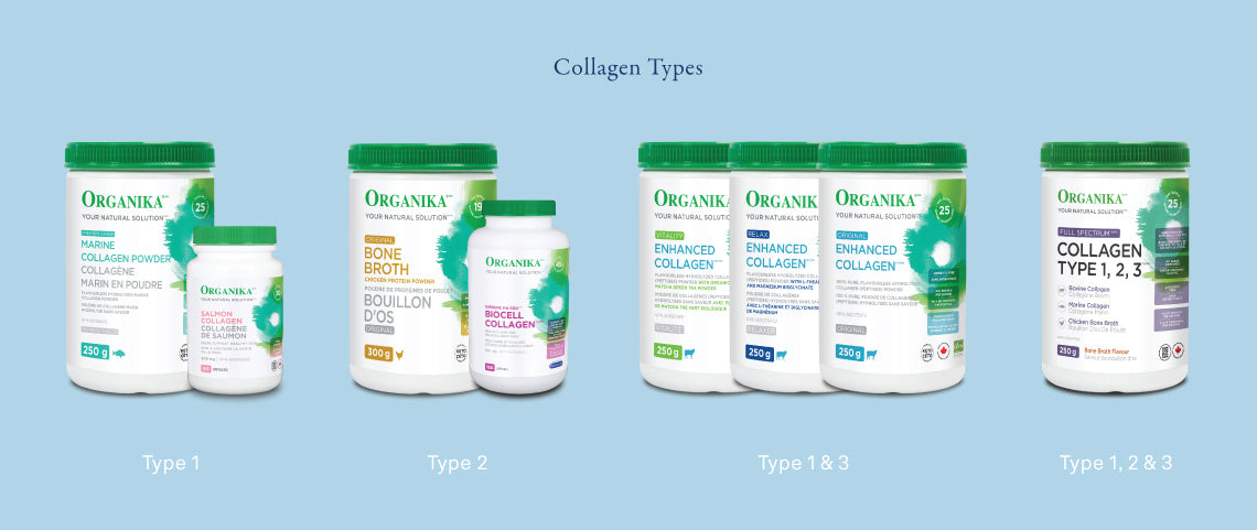 types of collagen