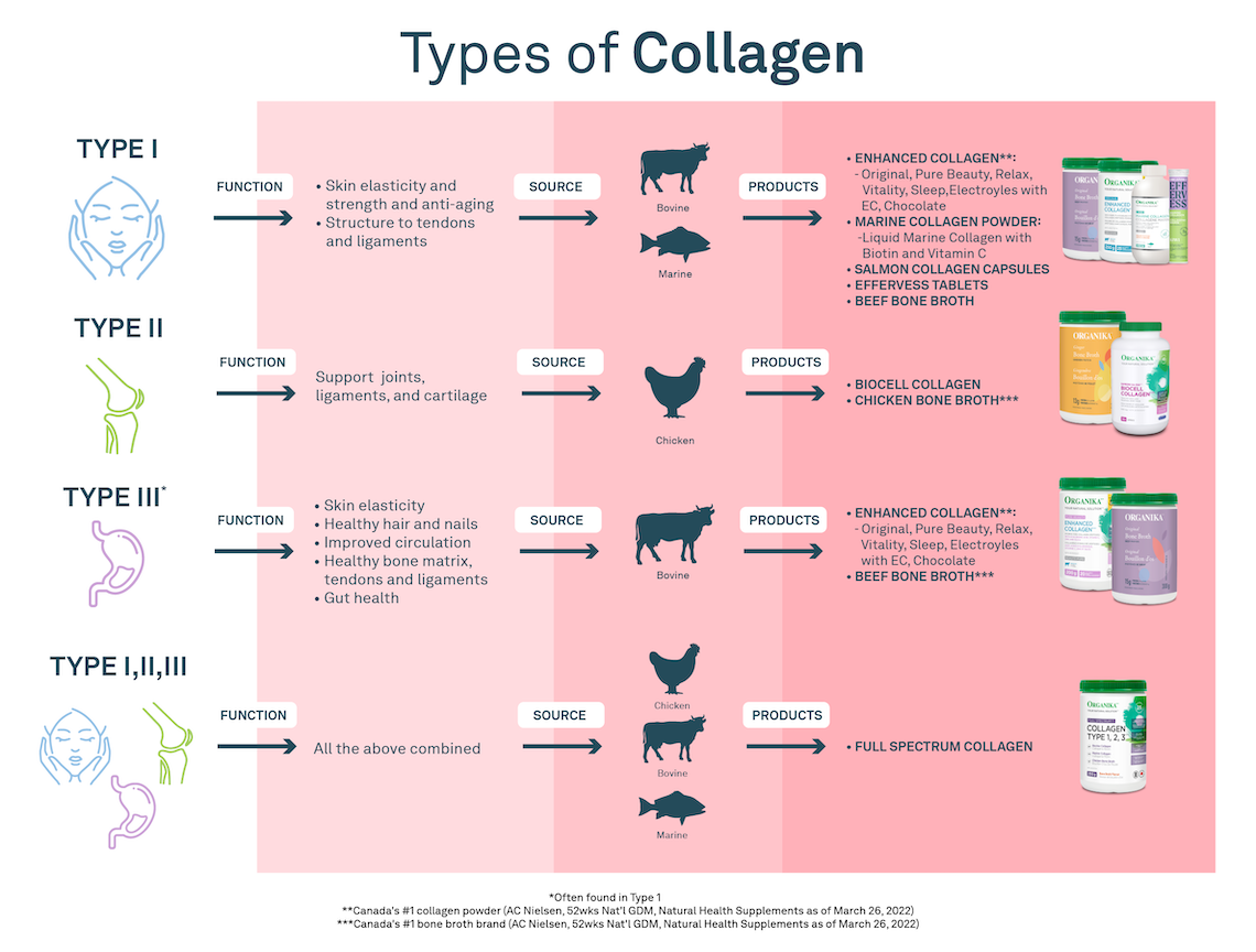 Tableau expliquant les différents types de collagène
