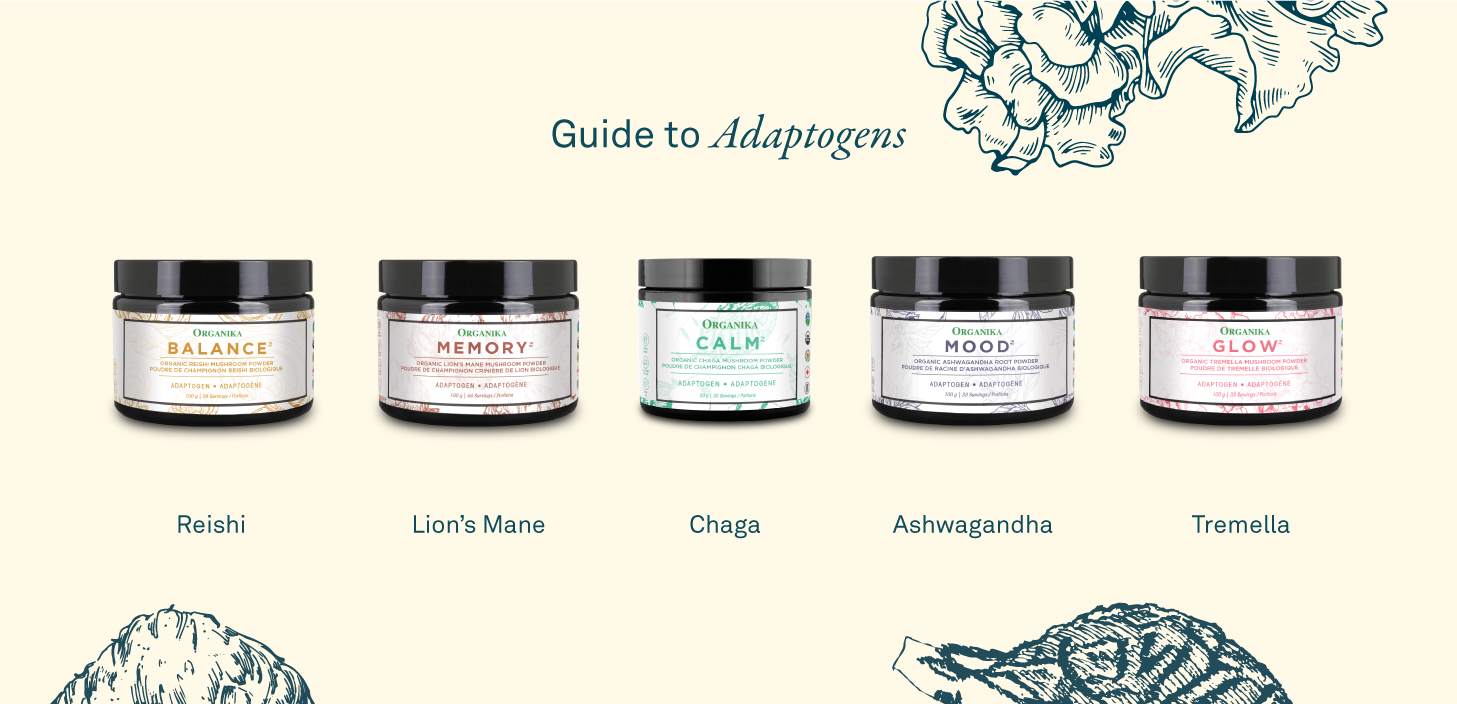 guide to adaptogens