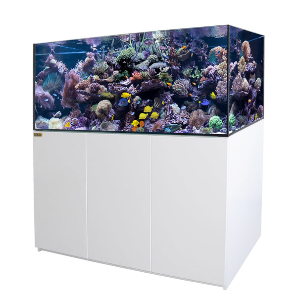 90 Gallon Coral Reef Aquarium Ultra Clear Glass Tank & Built in Sump A