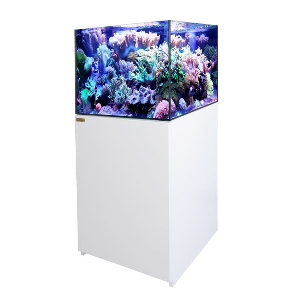 135 Gallon Coral Reef Aquarium Fish Tank Complete Set