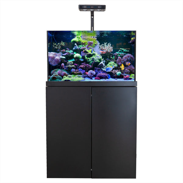 Sluit een verzekering af envelop Tarief Coral Reef Aquarium 50 Gallon Tempered Glass Fish Tank Complete Set