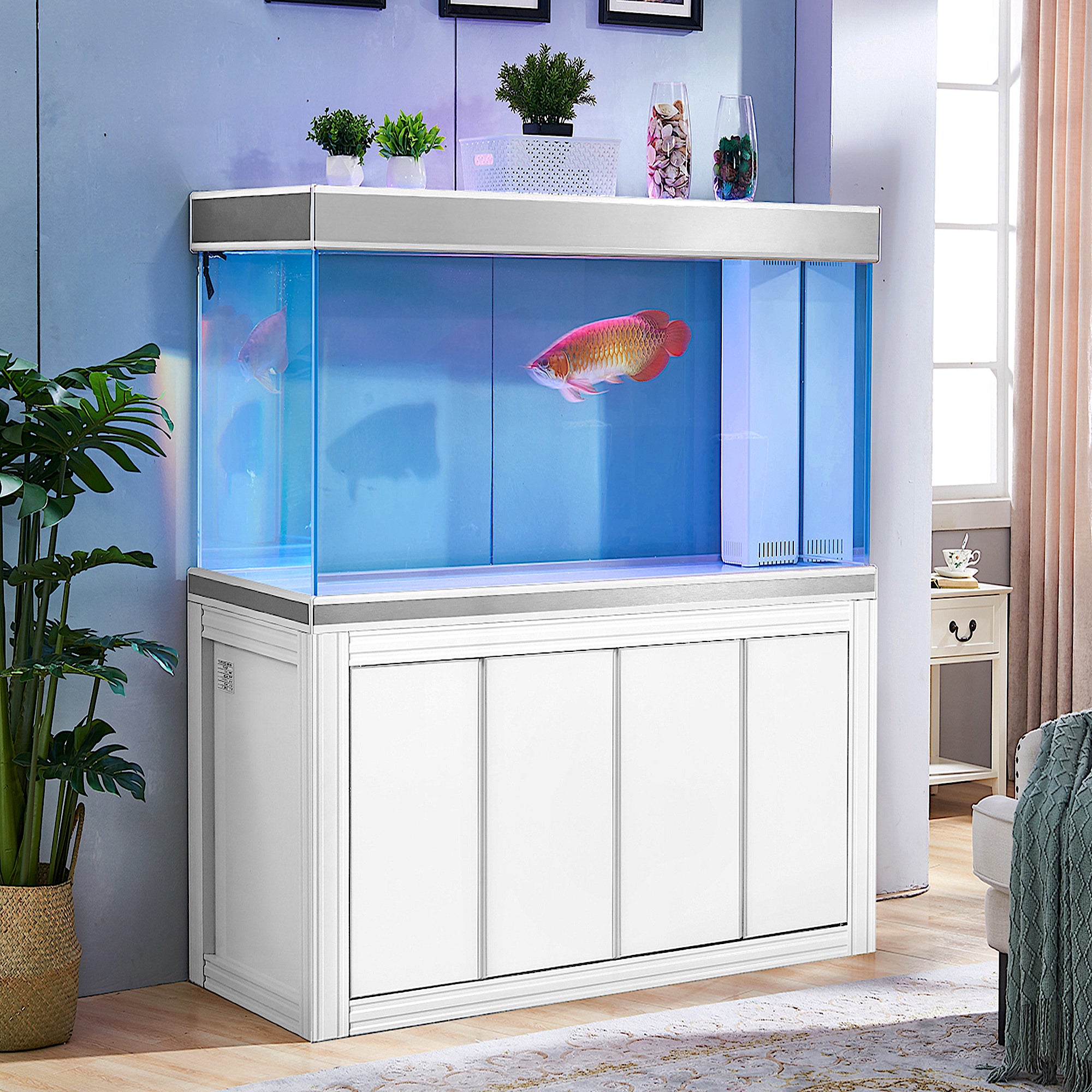 aqua dream aquarium