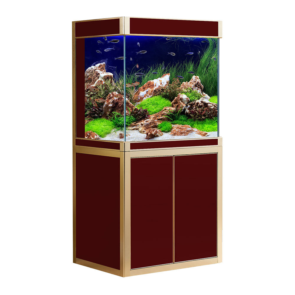 aquadream 50 gallon fish tank