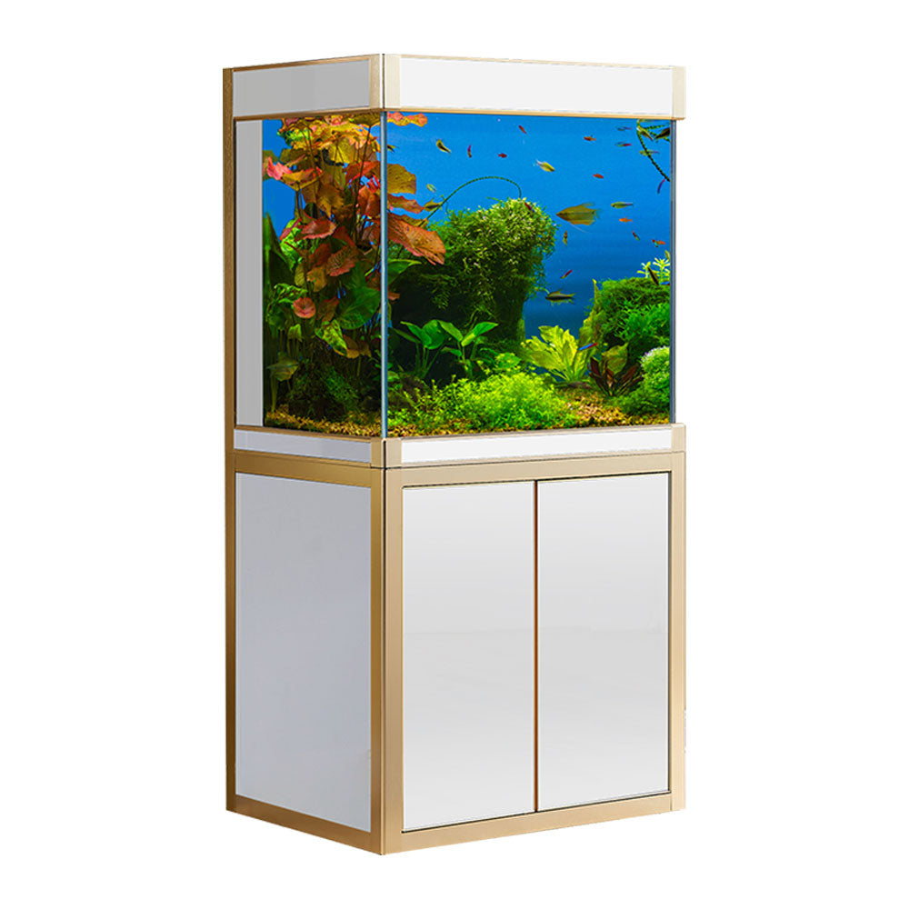 aquadream 50 gallon fish tank