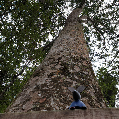 wooden toy at Waiau Falls kauri grove