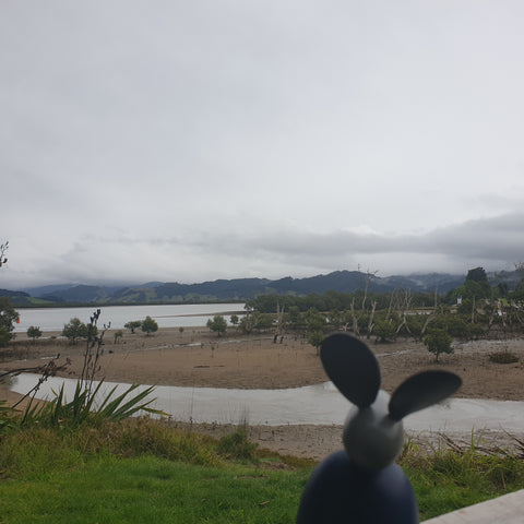 wooden toy at Whitianga