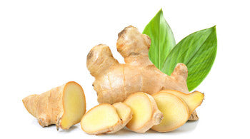Ginger root on a white background