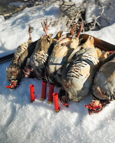 A limit of Utah Chukar with the 28 Gauge Franchi Instinct. 4 shells and 5 birds.