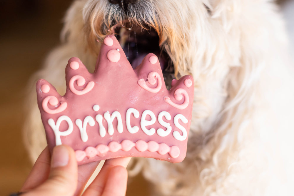 How to Make Icing for Dog Cookies — The Cookie Countess