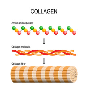 peptide product