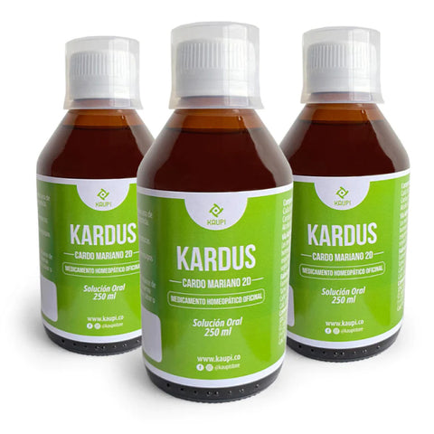 Soluciones Naturales para la Digestión en Kaupi