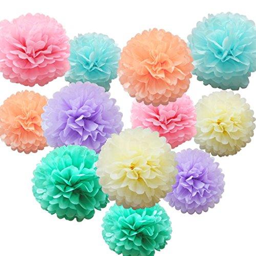 10pcs DIY Decorative Tissue Paper Pom-poms Flowers Ball Perfect for Pa – If  you say i do