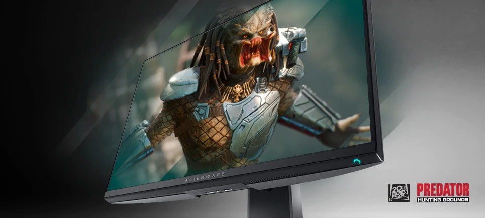 Alienware 240Hz Gaming Monitor 24.5 Inch Full HD Monitor with IPS  Technology, Dark Gray - Dark Side of the Moon - AW2521HF