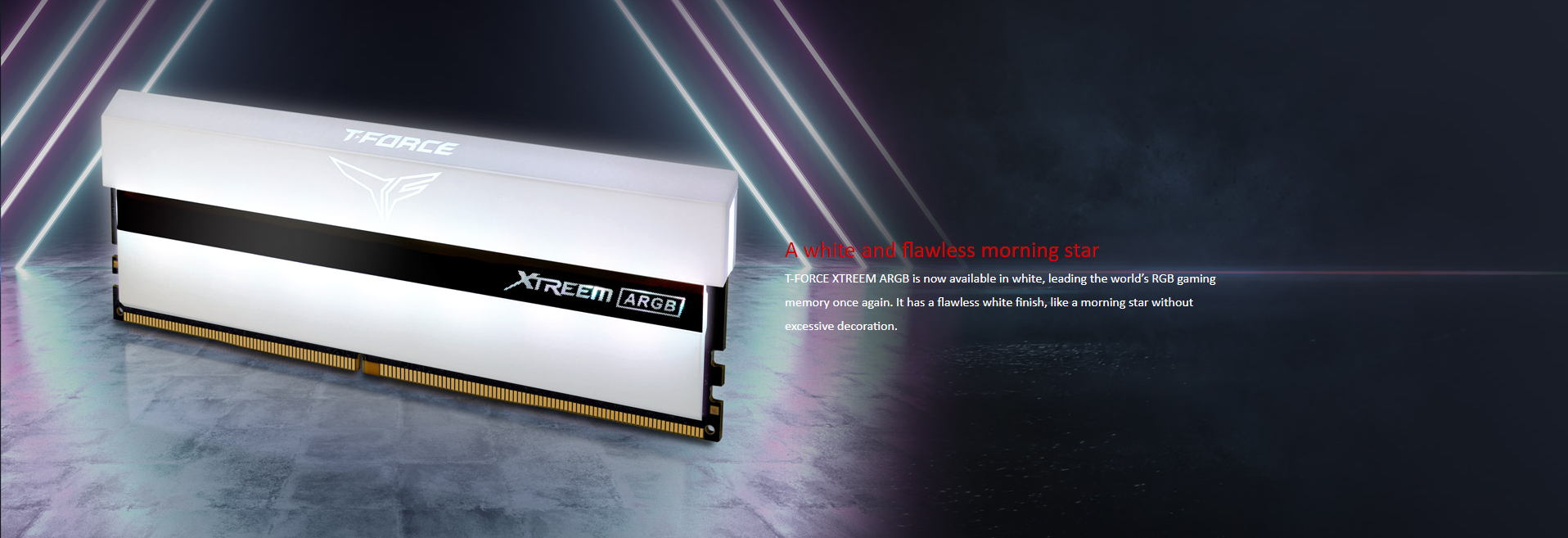 Teamgroup T-Force Xtreem ARGB 16GB (2X8GB) DDR4 3600Mhz