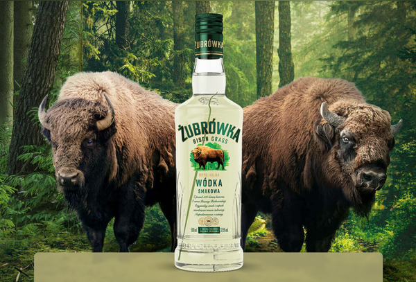 Two Bisons in Białowieża Forest with a bottle of Zubrowka Bison Grass Vodka