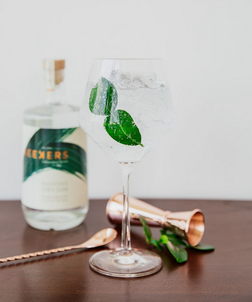 Gin Tonic with a bottle of Seekers Dry Gin