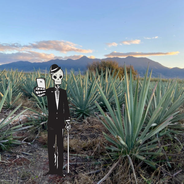 Mexican muerto black and white cartoon wearing a tuxedo offering to the viewer a glass of Siete Misterios Mezcal in a picture od Oaxaca agave fields with mountains in the background