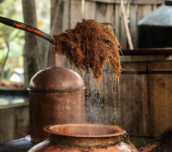 Siete Misterios Mezcal production scraps after distillation