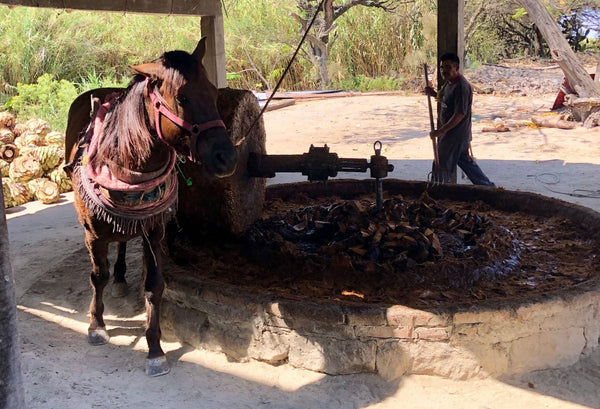 Siete Misterios Mezcal traditional agave crushing process with stone mill pulled by a horse in open air