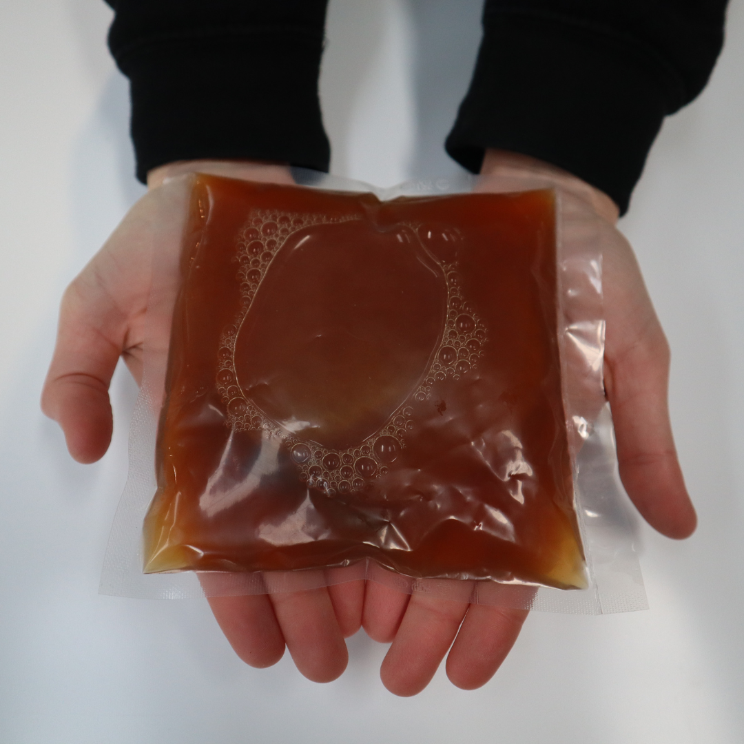 Organic Scoby - All About Kombucha product image