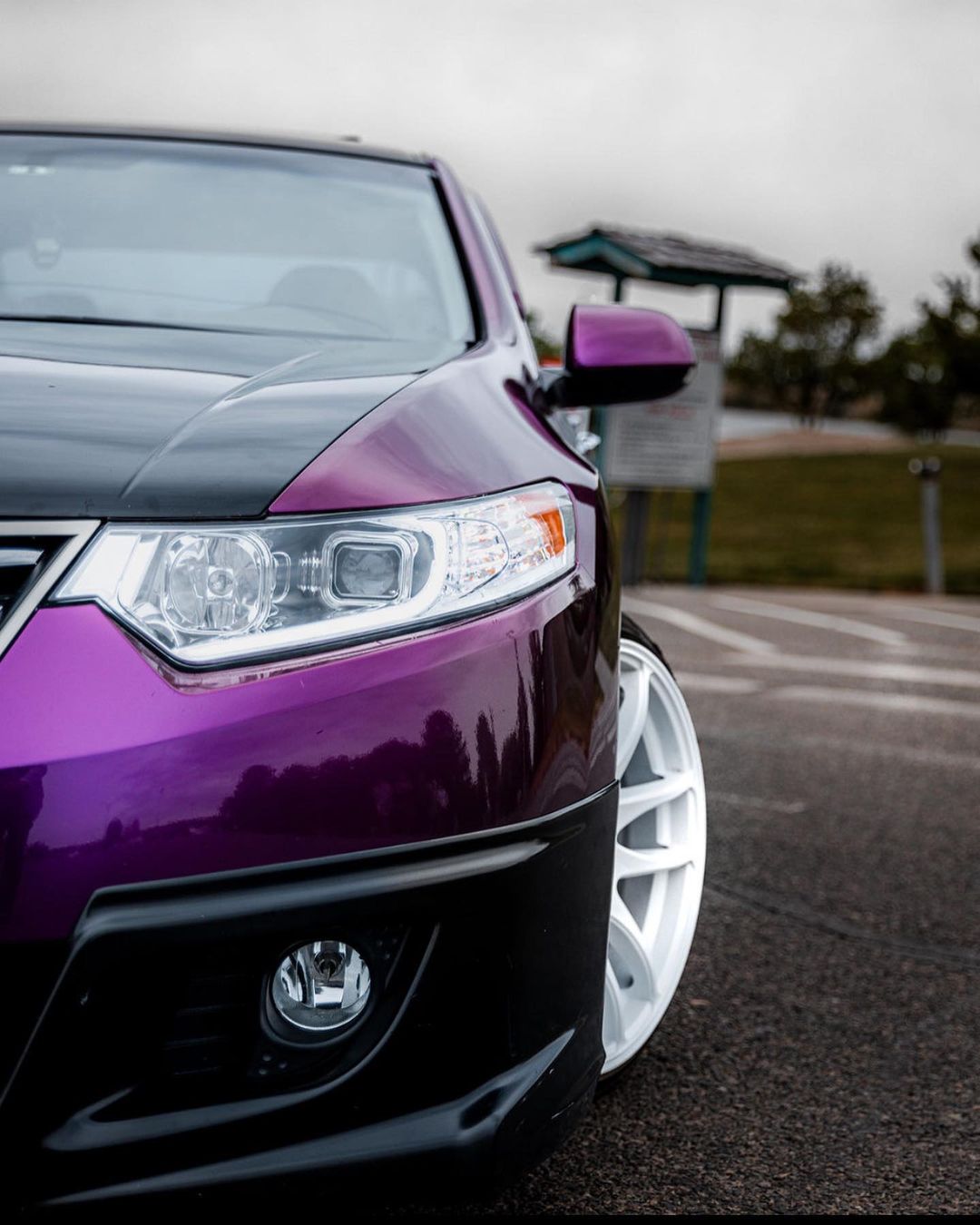 Vinyl Wraps For Honda Accord