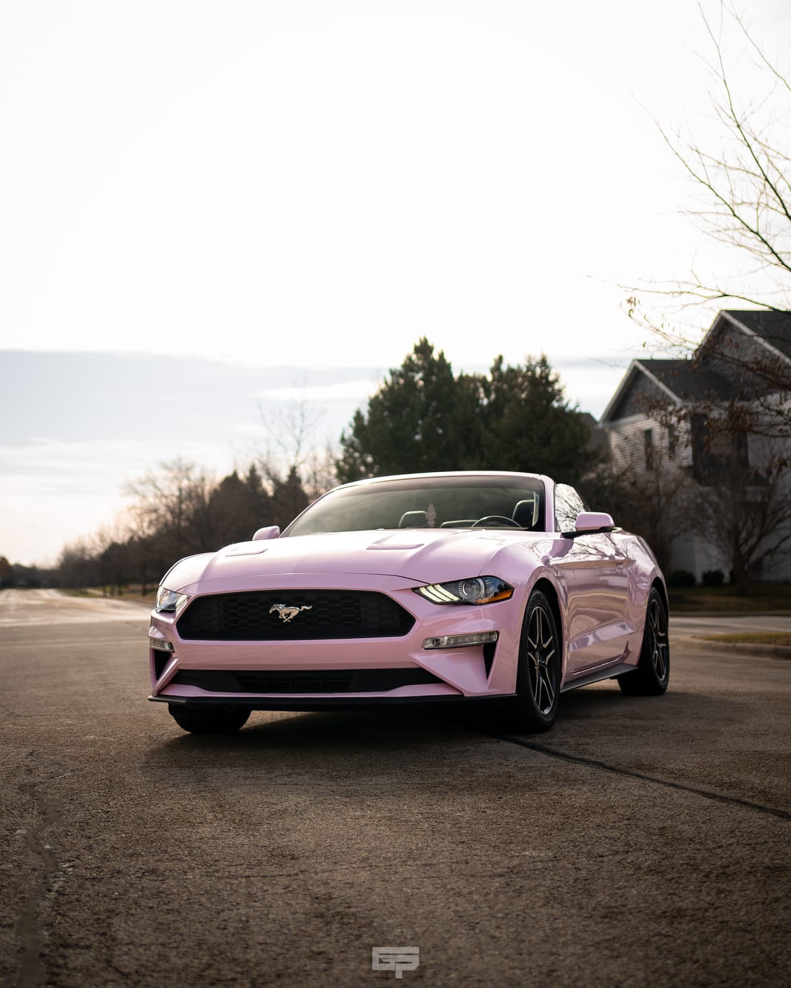 Ford Mustang Vinyl Wraps