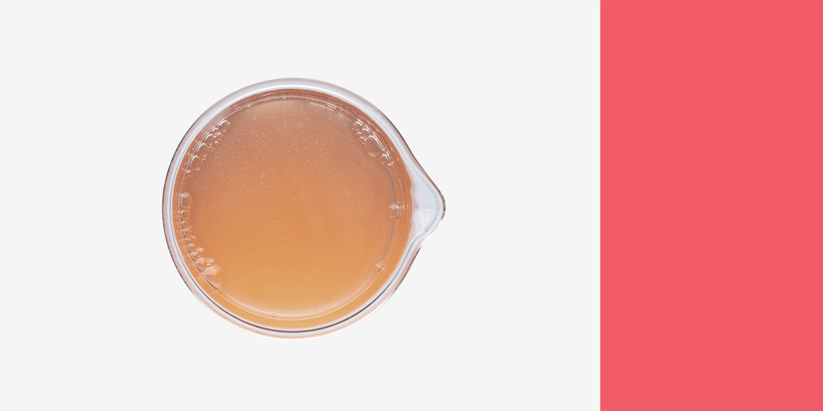 Pink kombucha in a tasting glass against a white background