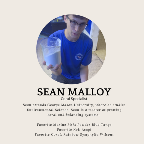 Sean Malloy Bio and Headshot for Blue Ribbon Koi and Marine