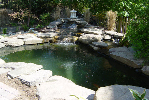 larger pond with small waterfall