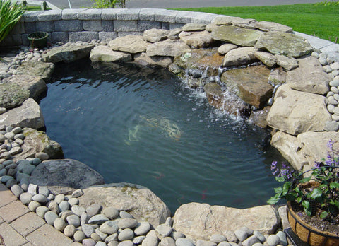 little pond with stone