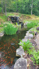 top view of large pond