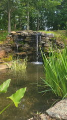 pond with waterfall