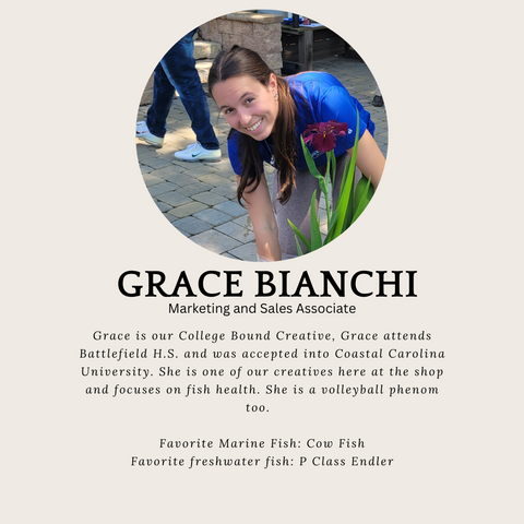 Grace Bianchi Bio and Headshot for Blue Ribbon Koi and Marine