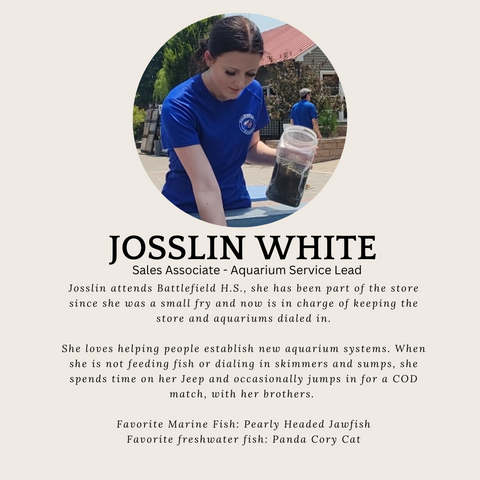 Josslin White Bio and Headshot for Blue Ribbon Koi and Marine