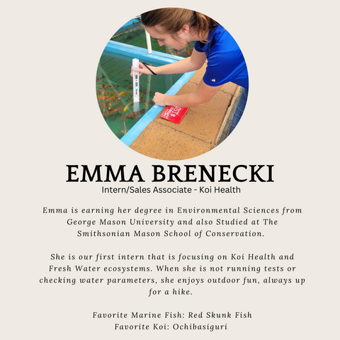 Emma Brenecki Headshot & Bio