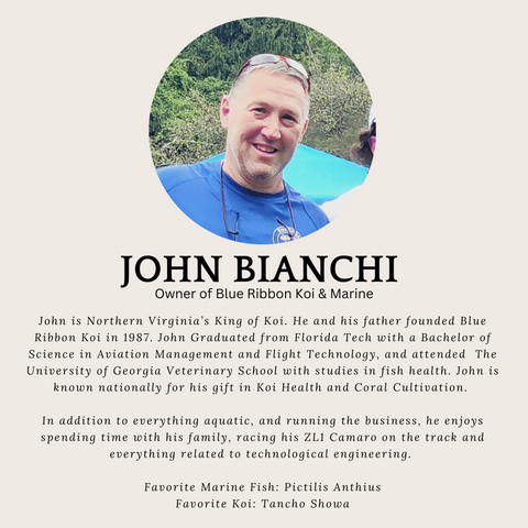 John Bianchi Head shot and Bio of the owner and founder of Blue Ribbon Koi & Marine