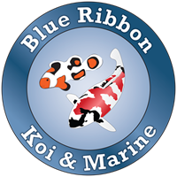 Blue Ribbon Koi and Marine Logo