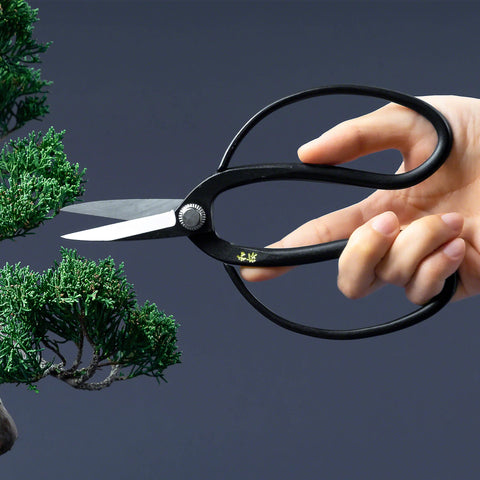 hand holding a traditional bonsai scissors 