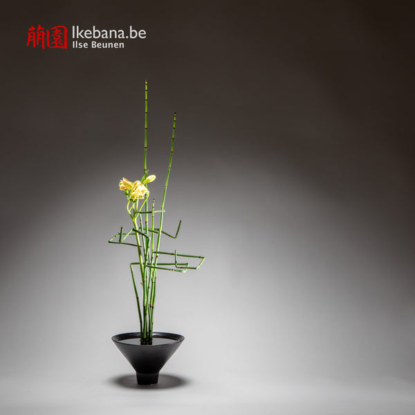 Upright style Yellow flower composition ikenaba