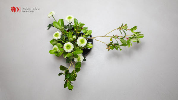 Ikebana Set with with flower shown from above