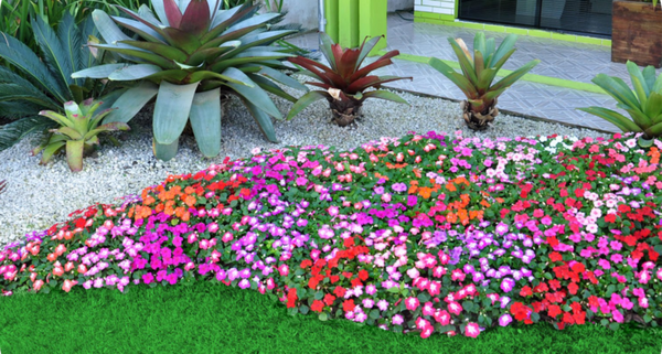 colorful-flowers-balance-energy-garden-feng-shui