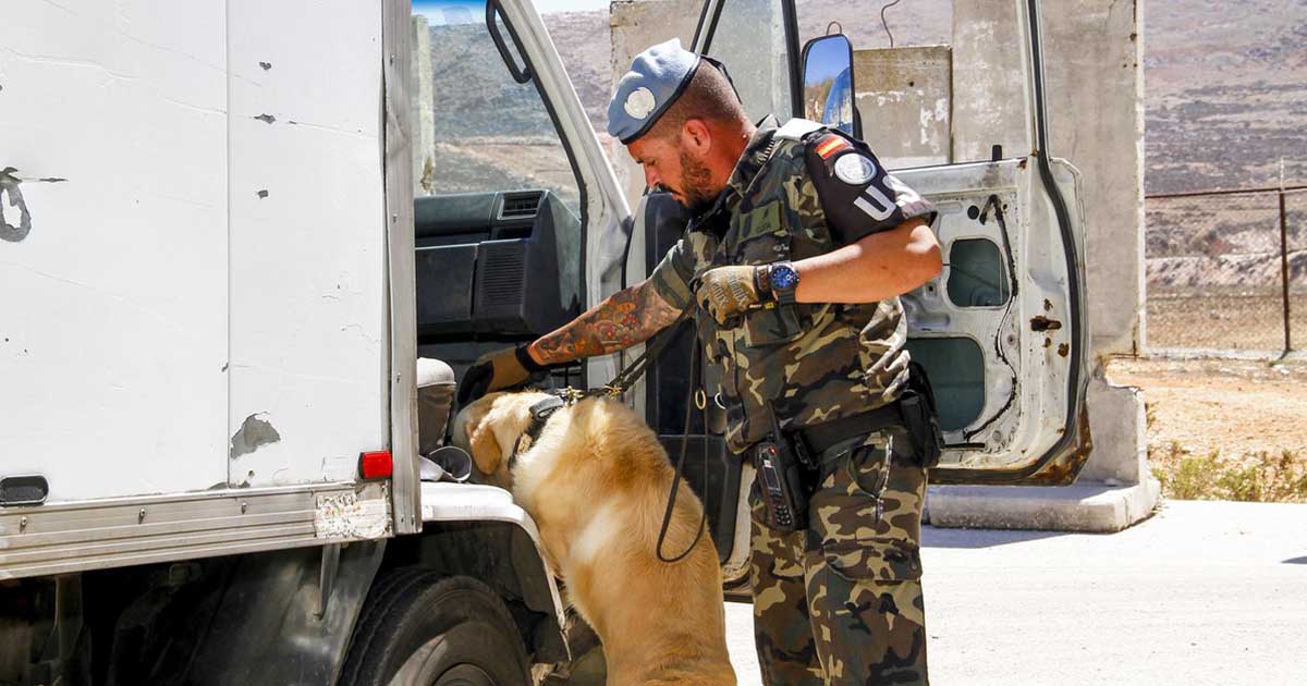 Policía militar con perro entrenado revisando un camión