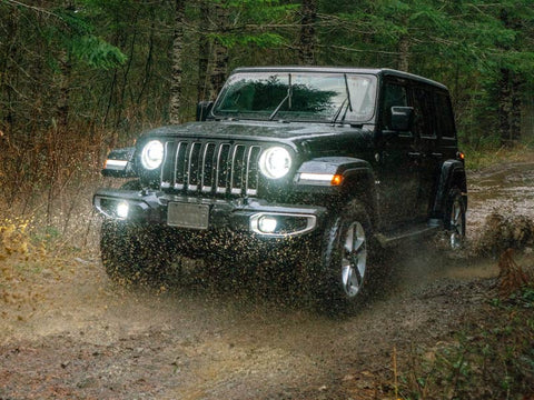 How To Clean a Jeep After Mudding: Jeep Cleaning Guide – JEDCo