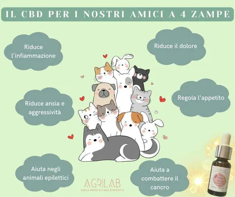 benefici del cbd olio di canapa isolato sugli animali agrilab