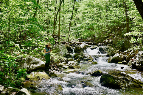 Over lining your fly rod on a small stream can be incredibly helpful!