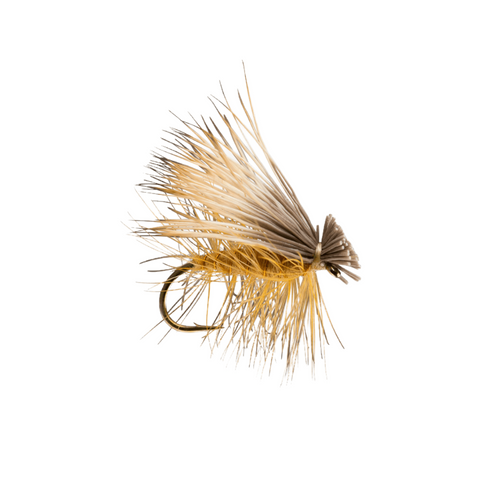 Hot Spot Elk Hair Caddis - Black – TaleTellers Fly Shop