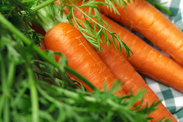 Carrots Are Good For Boosting Your Immune System